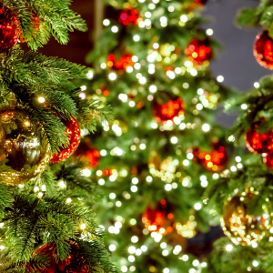 🎄Culitas Kerstdiner 2025!