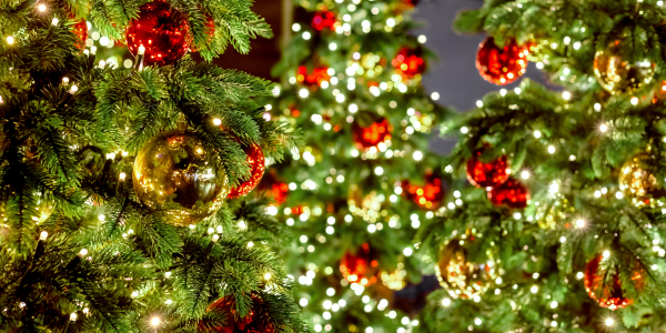 🎄Culitas Kerstdiner 2025!